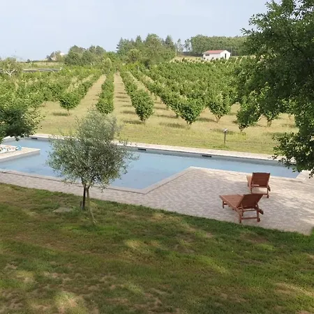 Domus Nirale Bagnoregio