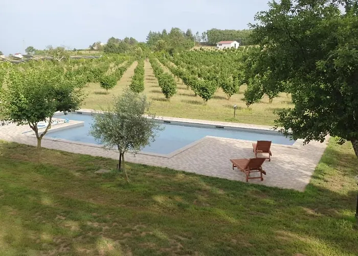 Domus Nirale Bagnoregio